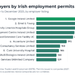 Bar chart of the ten employers granted the most Irish employment permits in 2025, from DETE data: Google Ireland Limited 368, Ernst & Young 278, University Limerick Hospitals Group 251, Amazon Development Centre Ireland Limited 245, Redwood Extended Care Facility UC 237, Accenture Limited 195, Tata Consultancy Services Limited 153, Cork University Hospital 146, WuXi Biologics Ireland Limited 130 and Mowlam Healthcare Services Unlimited Company 129.